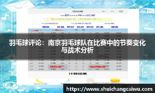 羽毛球评论:南京羽毛球队在比赛中的节奏变化与战术分析
